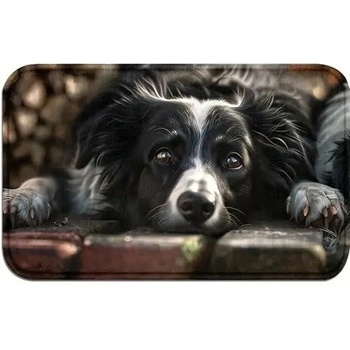 Zolux Podložka pro psy pod misku pejsci L