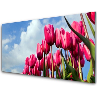 Obraz na skle Tulipán 100x50 cm