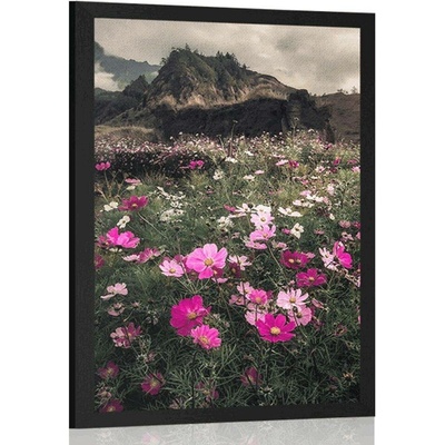 Plakát louka kvetoucích květin - 40x60 silver
