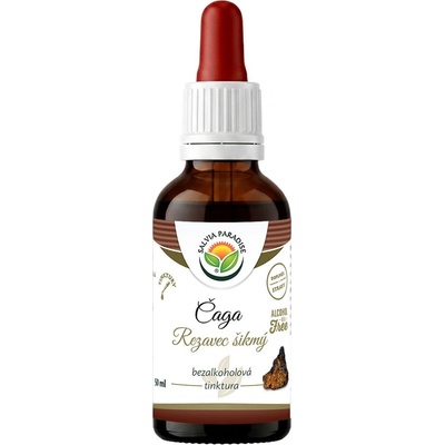Salvia Paradise Čaga Rezavec šikmý AF tinktura 50 ml