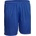 Derbystar Derbystar Basic Shorts Jr modrá