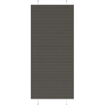 VidaXL Roleta plisé černá 100 x 200 cm