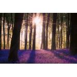 DIMEX ART Флизелинов фототапет камбанки в гората ii. 375 x 250 см