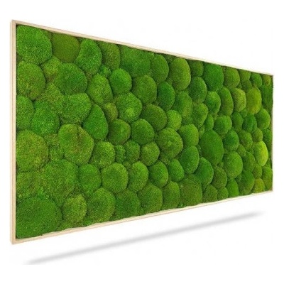 Machový obraz LIGHT, 120x80cm, drevený svetlohnedý rám