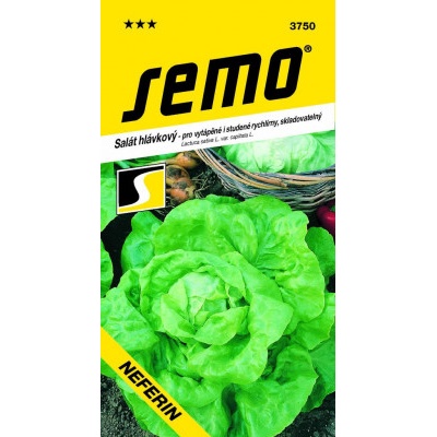 Semo Salát k rychlení - Neferin stud. skleníky a fol. 0,6g