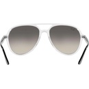 Image 1 of Ray-Ban RB4376 647711