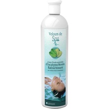 Camylle SPA esencia 250 ml Euka/Mentol