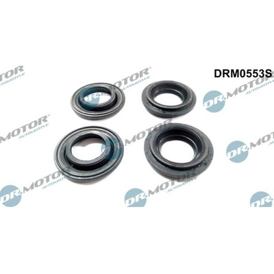 Tesneni, drzak trysky Dr.Motor Automotive DRM0553S