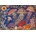 Bluebird Puzzle - Puzzle The Jelly Fish Ballet - 1 000 piese