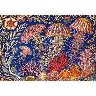 Bluebird Puzzle - Puzzle The Jelly Fish Ballet - 1 000 piese