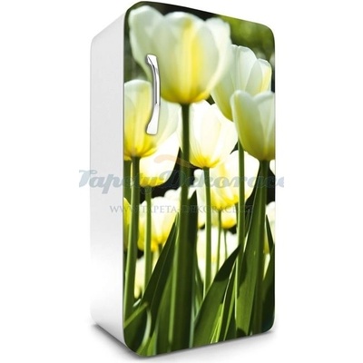 Dimex FR120-026 Samolepící fototapeta na lednice White Tulips rozměry 65 x 120 cm