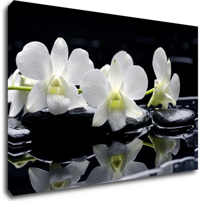 Impresi Obraz Bílé orchidee na černém pozadí - 90 x 60 cm