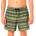 Oakley Бански гащета Oakley Blur Stripes RC 16´´ swimming shorts - Green (Blurred Stripe Green)