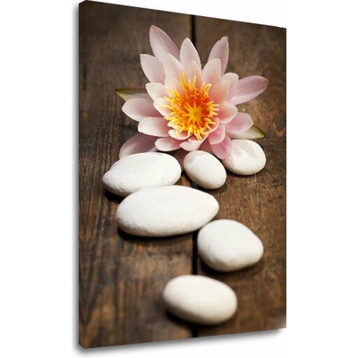 Obraz na plátne FENG SHUI_059-11 - 20x30 cm