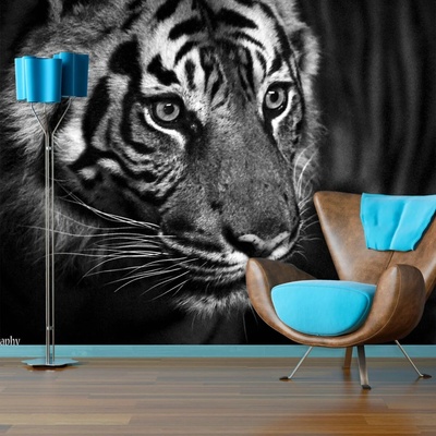 Sablio Tapeta Čiernobiely tiger, rozmery 336x220 cm