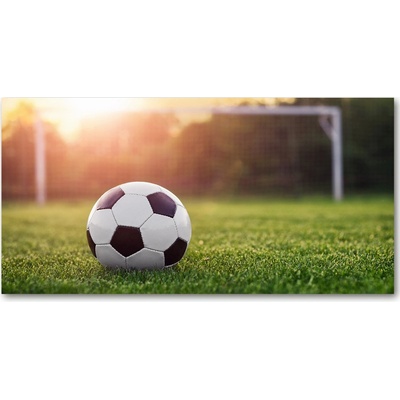 Foto-obraz fotografie na skle futbal 100x50 cm
