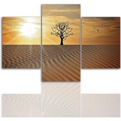Divio Třídílný obraz na plátně poušť, vzor 12257 Velikost: 60x90 cm