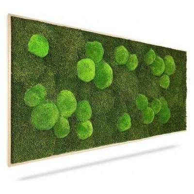 Machový obraz Light Green, 80x40cm, drevený svetlohnedý rám
