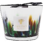 Baobab Collection Rainforest Amazonia Ароматна свещ 10 см (MAX10RFA)