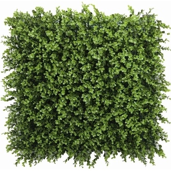 Buxus long green, dielec 50 x 50 cm