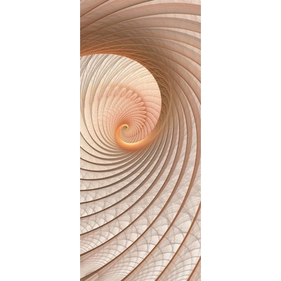 ForWall Fototapeta na dvere Béžový slimák vlies 91 x 211 cm