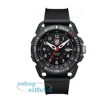 Luminox 1001