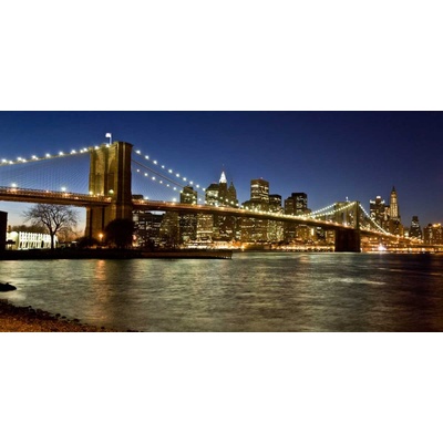 Panoramatický pohled na Dolní Manhattan za soumraku 1 deska 100x50