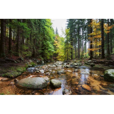 DIMEX ART Флизелинов фототапет горски поток 375 x 250 см