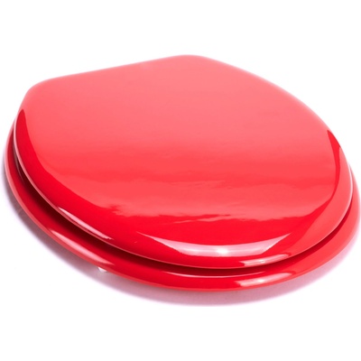 MSV CLEO 140341