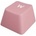 Genesis Keycaps genesis lead 300 rose double shot