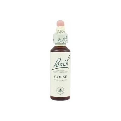A. Nelson GORSE Útesovec európsky 20 ml