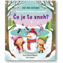Čo je to sneh? Úplne prvé otázky a odpovede