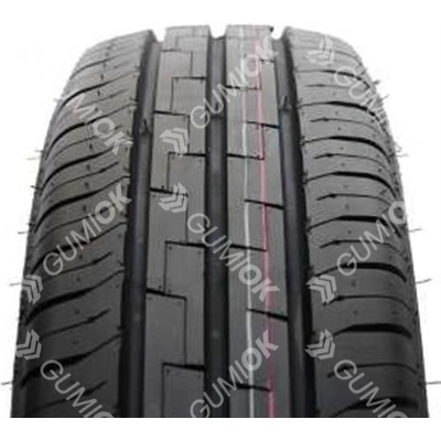 MINERVA TRANSPORT RF19 225/55 R17 109/107H