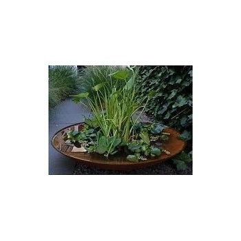 Ella Doris Cortenová misa 80 x 21 cm