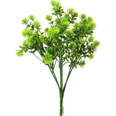ZÁPICH HEBE ZELENÉ 25CM