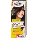 Pallete Color Shampoo 341/3-0 tmavě čokoládový