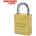 American lock Катинар 5570 (al 5570)