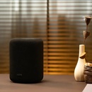 WiiM Sound Lite
