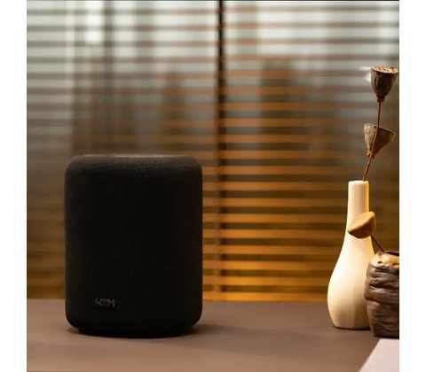 WiiM Sound Lite