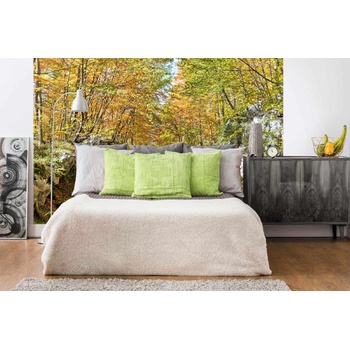 DIMEX ART Самозалепваща се флизелинова фототапета есенна гора 375 x 250 см