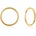 Sofia CK37-00391-0050
