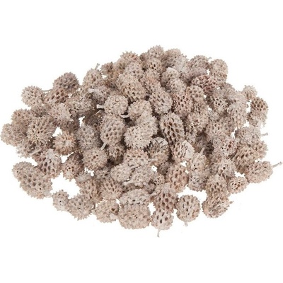 Casurina frosted bílá 500 gr.