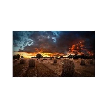 Samsung Професионален дисплей SAMSUNG VMB-U LH46VMBUBGBXEN, 46", Full HD, 60Hz, Class G, черен