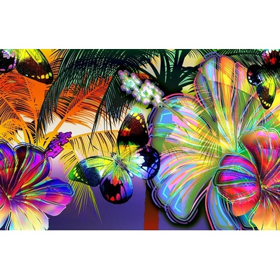ForWall Fototapeta Colorful butterflies papier 368 x 254 cm