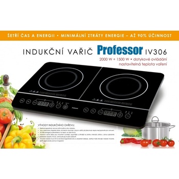 Professor IV306