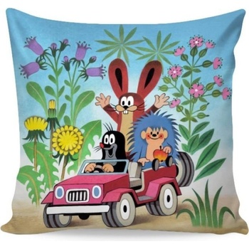 Matějovský Krtko V Aute digital 40 x 40 cm