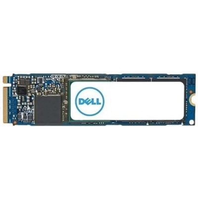 Dell AC037409 1TB M.2