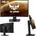 Asus VG24VQR