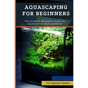 Aquascaping For Beginners | Victoria Vet (2022)