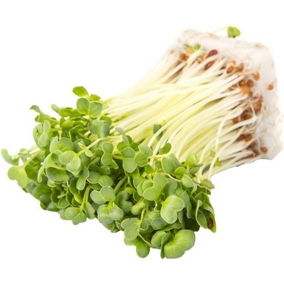 Biomiska Reďkovka semienka na klíčenie , 20 g